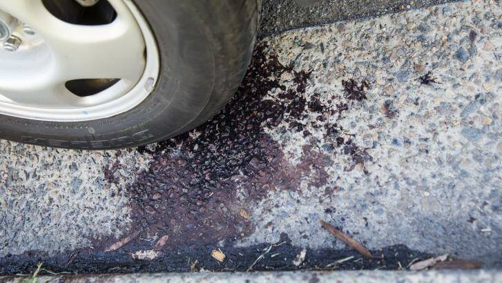Blood on the road at Condell Park where two men were shot dead on Saturday.  Photo: Nic Walker
