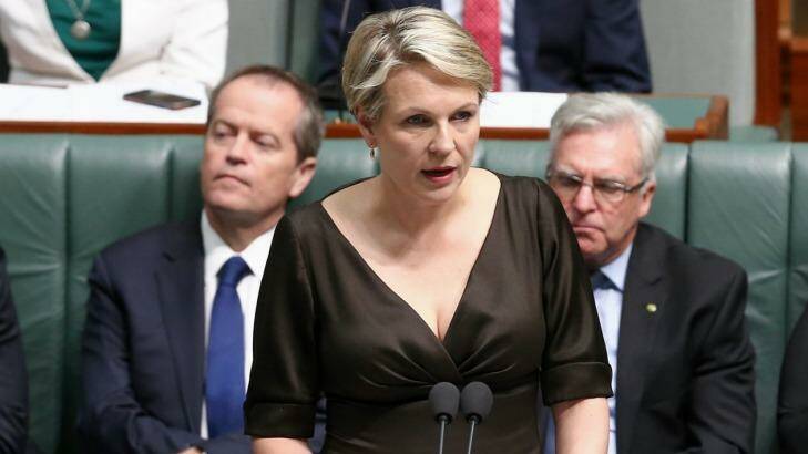 Deputy Opposition Leader Tanya Plibersek speaks during a motion for a stay of executions of Andrew Chan and Myuran Sukumaran, at Parliament House on Thursday. Photo: Alex Ellinghausen