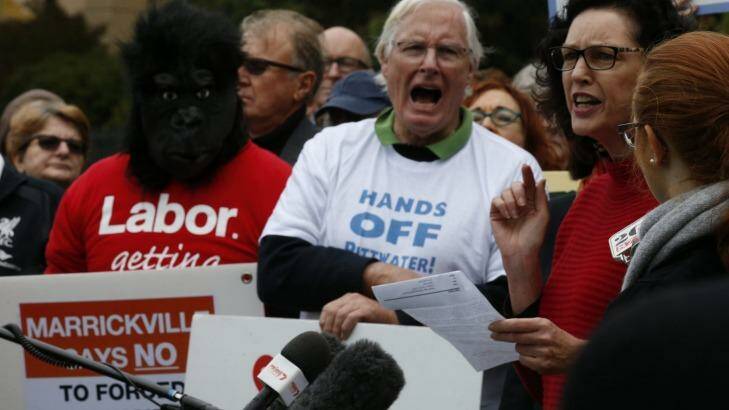 Some of the protesters at the Save our Councils rally at NSW Parliament House on Thursday.  Photo: Peter Rae