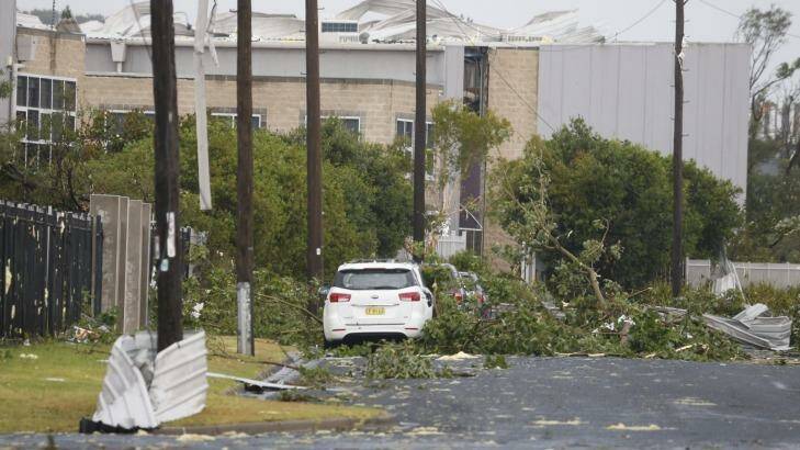 The road into Kurnell is strewn with fallen trees. Photo: Peter Rae