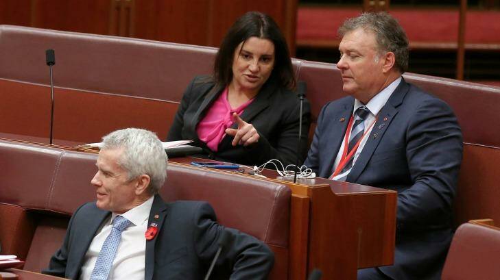 Independent Senator Jacqui Lambie (centre) was the only crossbencher not to support the bill. Photo: Alex Ellinghausen