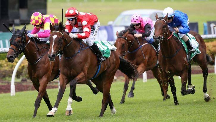 Maiden win: Perignon and Brenton Avdulla (red and white cap) take out the 1200-metre juvenile at Canterbury on Saturday. Photo: Anthony Johnson