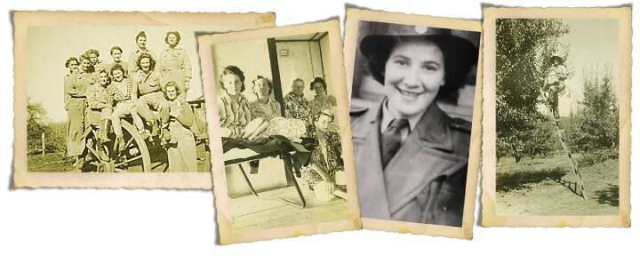 Surrounded by good mates at Batlow, Betty Brown (nee Foley) sits on the wheel of the cart with a scarf wrapped round her head; Modelling assignment – the young women show off their new work clothes; Betty Brown in her AWLA uniform; Up the top of a tall  ladder Betty Brown suffered many falls and back injuries while picking apples.