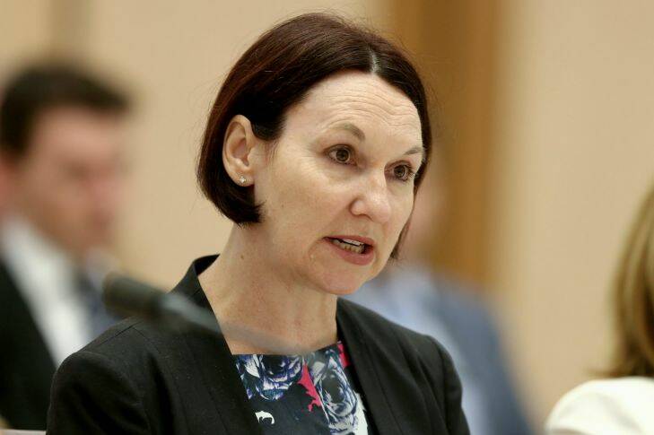 ASIO Deputy Director-General Kerri Hartland during the Parliamentary Joint Committee on Intelligence and Security hearing at Parliament House in Canberra on Wednesday 17 December 2014. Photo: Alex Ellinghausen