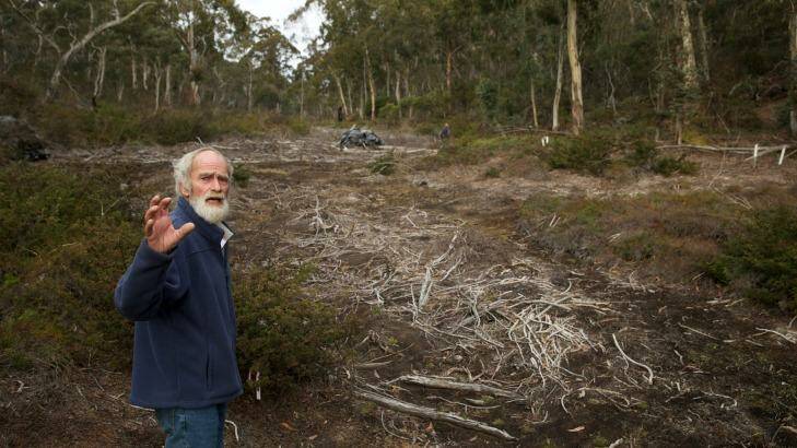 Chris Jonkers of the Lithgow Environment Group says the East Wolgan swamp has also been damaged by the Springvale coal mine. Photo: Wolter Peeters
