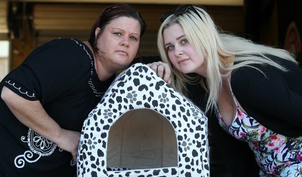 Vanished: Joanne Collins and Maddi Hidasi fear their cats have been taken for dog-baiting. Picture: GREG TOTMAN
