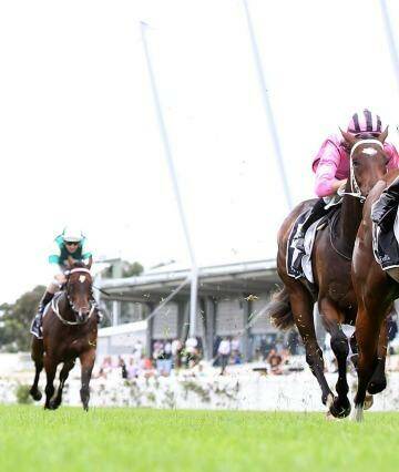 Headway: Blake Shinn steers Headwater to victory in the Silver Slipper. Photo: Anthony Johnson
