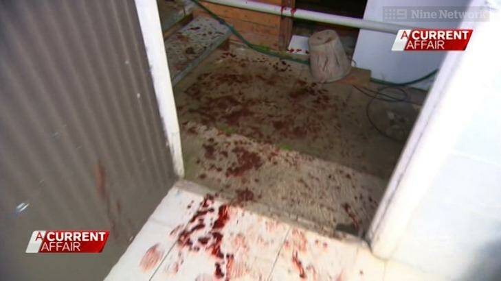 Mr Greenhalgh ran to a nearby hairdressing salon, where he staggered and dripped blood all over the floor.  Photo: Nine Network