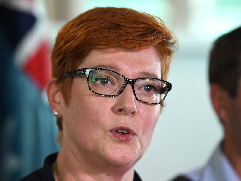 Defence Minister Marise Payne has announced a $1.2 billion upgrade to Australia's radar network.