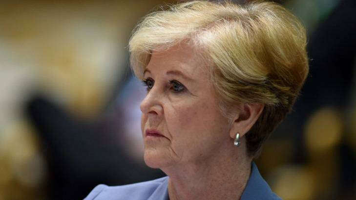 Human Rights Commission president Gillian Triggs said while countries were "courteous" there were "common themes" of concern. Photo: Lukas Coch