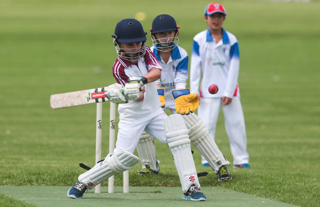 Attack mode: Wollongong's Tom Giustiniani shows his aggressive intent while batting against Wests in the under 11s at Guest Park. Picture: ADAM McLEAN