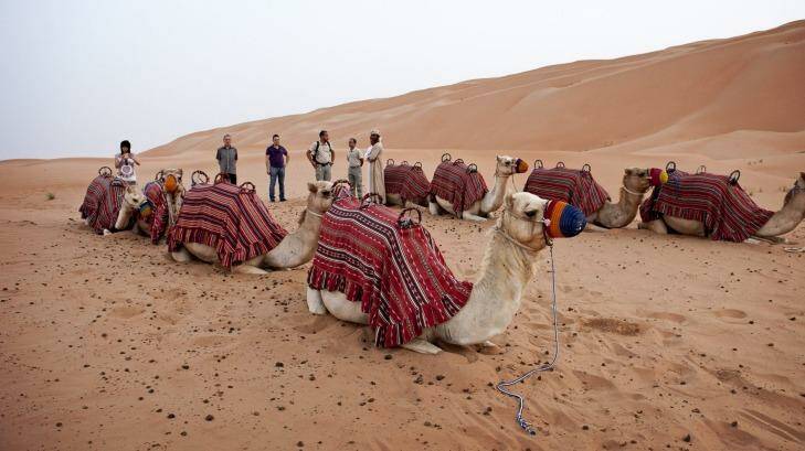 Photo one: Camel trek. Photo: Alia Naughton