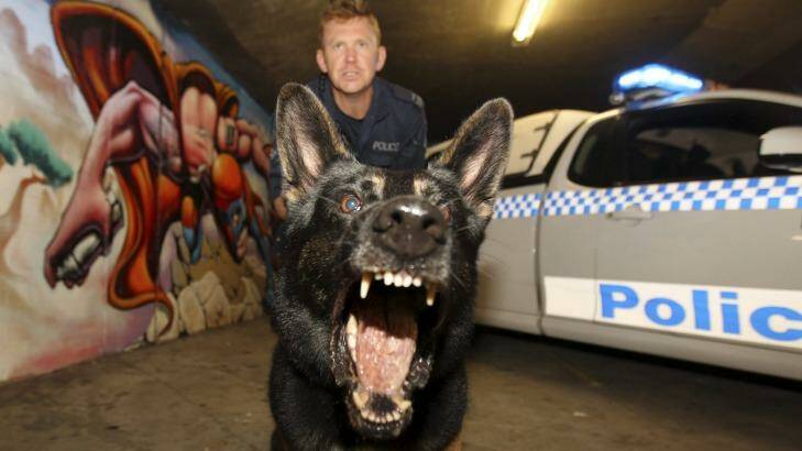 Senior Constable Luke Warburton and his dog Chuck were involved in the arrest of Malcolm Naden in 2012. Photo: David Darcy