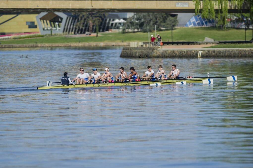 The 44th Disher Cup Regatta: The final race of the day, with the Australian National University Boat club's men's coxed eight in the lead. Photo: Jamila Toderas