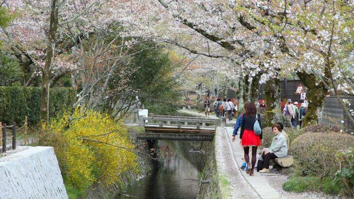 Philosopher's Walk, Kyoto, Japan.  Photo: 123RF