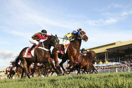 Lone hope: Temple of Boom (left) goes down in a photo finish in last year's Stradbroke Handicap. Photo: Tertius Pickard