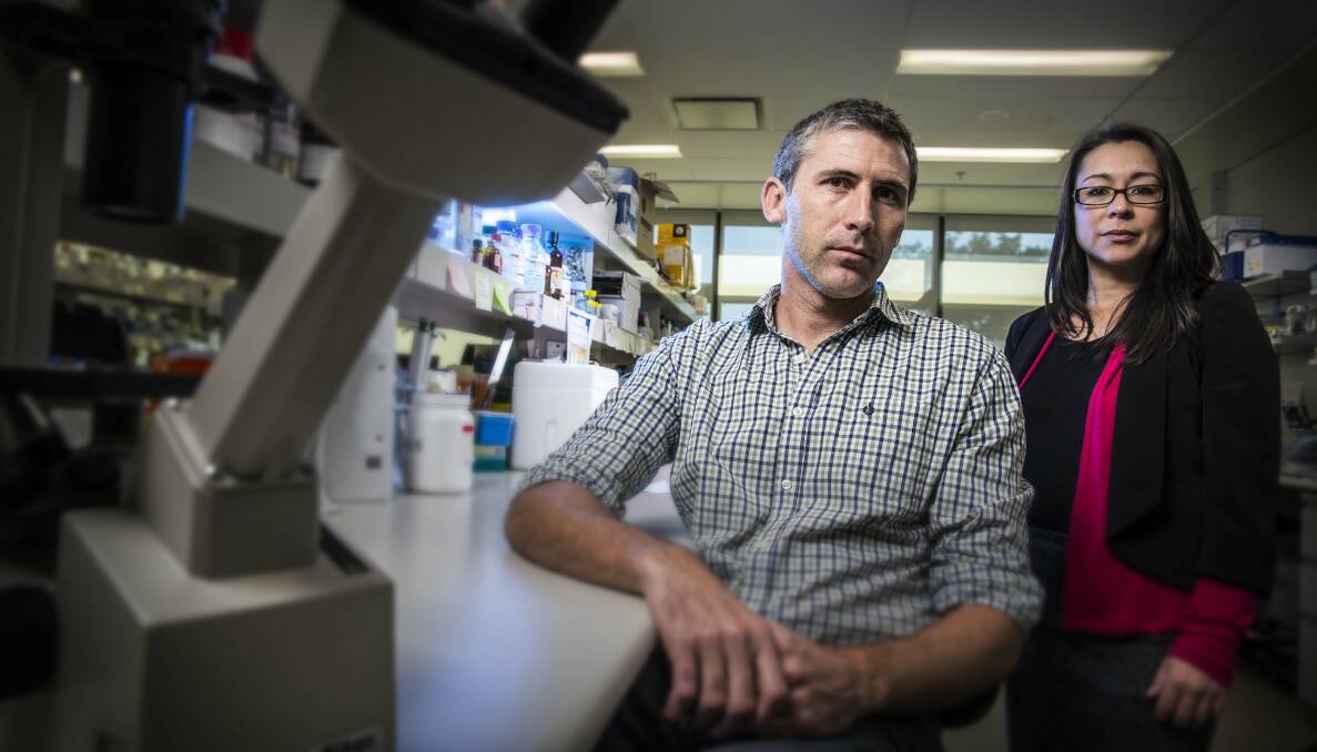 In the genes: Dr Justin Yerbury and Dr Lezanne Ooi are investigating a link between dementia and motor neurone disease. Picture: PAUL JONES