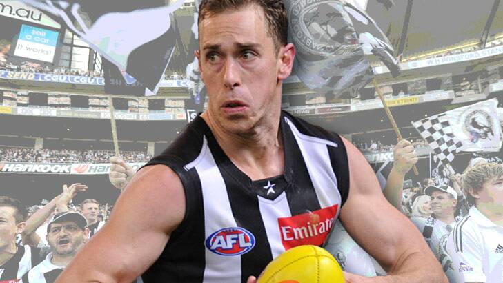 Nick Maxwell has been the spiritual leader of the inexperienced Collingwood defence.