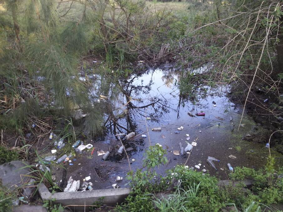 Rubbish found in one of the small waterways leading to Mullet Creek. A Clean Up Horsley event is being held on November 1.