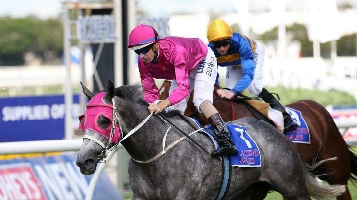 Elusive: a group 1 win is still missing from Catkins' resume. Photo: Anthony Johnson