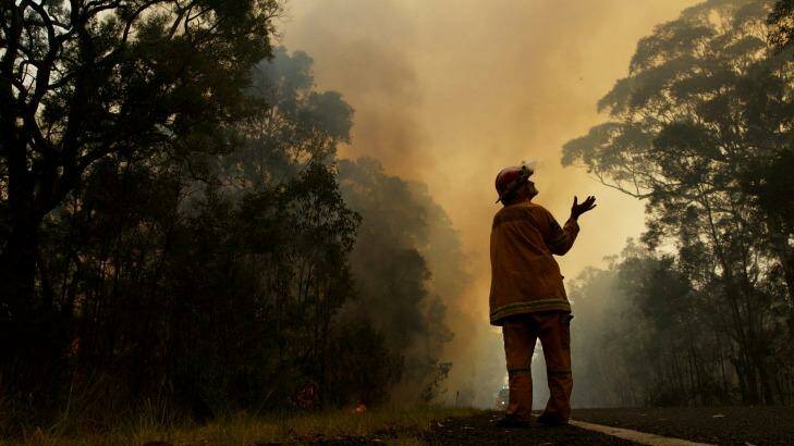 A NSW RFS firefighter feels for rain as forecast storms move into the Blue Mountains last year during back-burning. Photo: Wolter Peeters