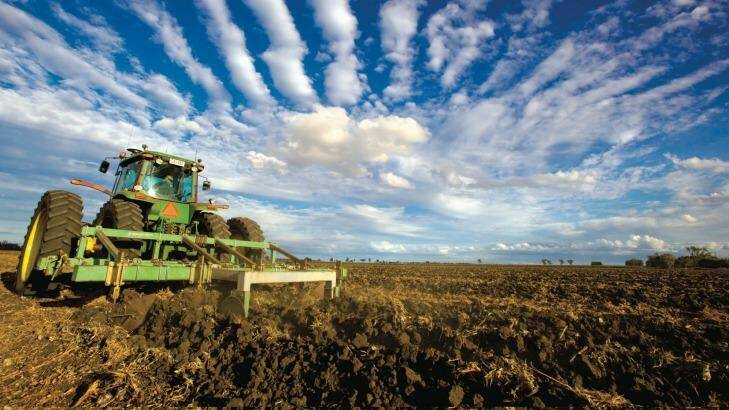 The changes to tariffs and partnerships could add as much as $3.7 billion, or 19 per cent, to Australian agriculture by 2015, HSBC says. Photo: Glenn Hunt
