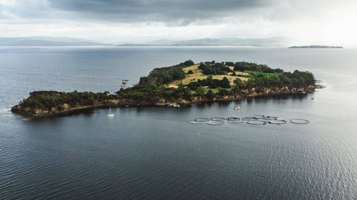 Satellite Island Tasmania.