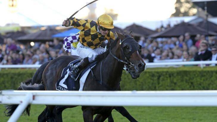 It's A Dundeel triumphed in Sydney's richest race, the $4 million Queen Elizabeth Stakes, at Randwick in 2014 Photo: Damian Shaw