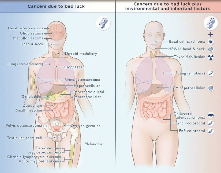 Cancers due to bad luck. Photo: Johns Hopkins University