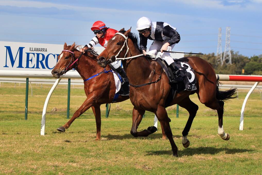 Tramotane (outside), with Adam Hyeronimus up, made a successful return to racing at Kembla Grange on Saturday. Picture: SYLVIA LIBER