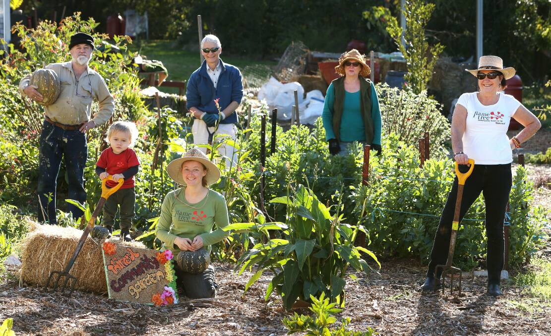 Working in the Thirroul Community Garden to promote the upcoming "Soup & Film" night are Andrea Saunders, Pauli Lago, Cath Blakey, David Farrier, Fiona Chanter and Julie Reed. Picture: KIRK GILMOUR