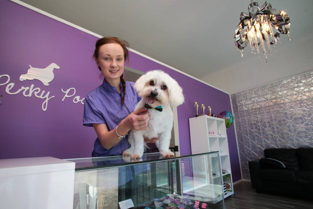 Tiarne Perkiss at her new Perky Pooches beauty salon for dogs. Picture: ADAM McLEAN
