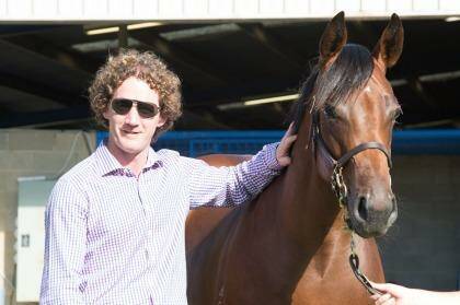 Calmly does it: Ciaron Maher is quietly going about a successful training career.