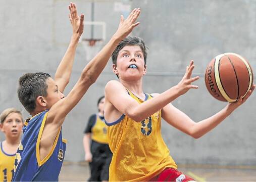 Keiraville's Fletcher MacDonald has his eyes on the basket at last month's South Coast primary schools trials at Berkeley.