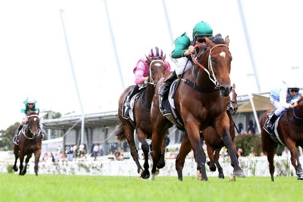 Headway: Blake Shinn steers Headwater to victory in the Silver Slipper. Photo: Anthony Johnson