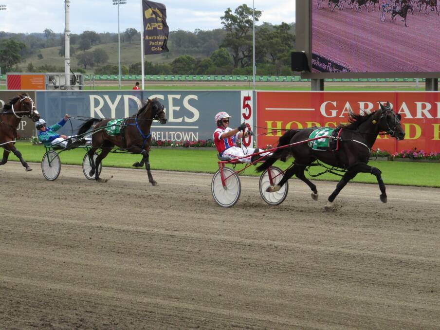 This year's Inter Dominion winner Beautide heavily backed to repeat last year's Miracle Mile victory at Menagle on Saturday.