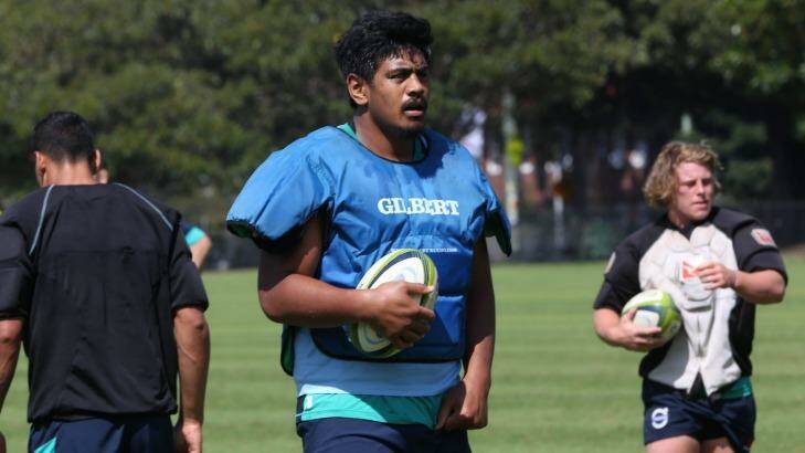 Waratahs ready for the Blues: Will Skelton training at Moore Park. Photo: Louise Kennerley