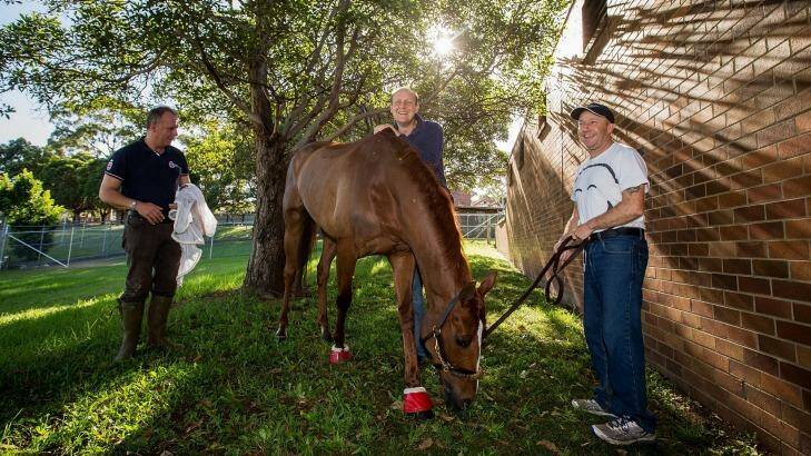 Happy family: (From left) foreman Robin Trevor-Jones, trainer Ed Dunlop and track rider Steve Nicholson with their beloved Red Cadeaux. Photo: Joosep Martinson