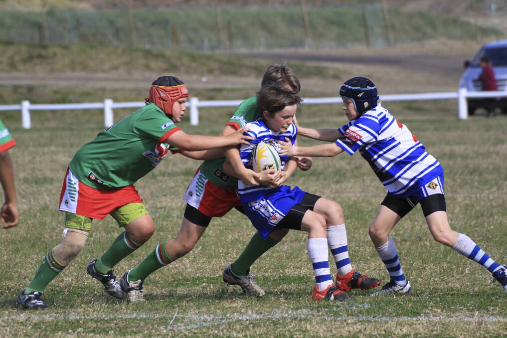 Big push: Corrimal players make a tackle against Thirroul in the 12 years Div 1 final at Ron Costello Oval. Thirroul made the grand final with a 12-6 win. Picture: ALLAN BARRY