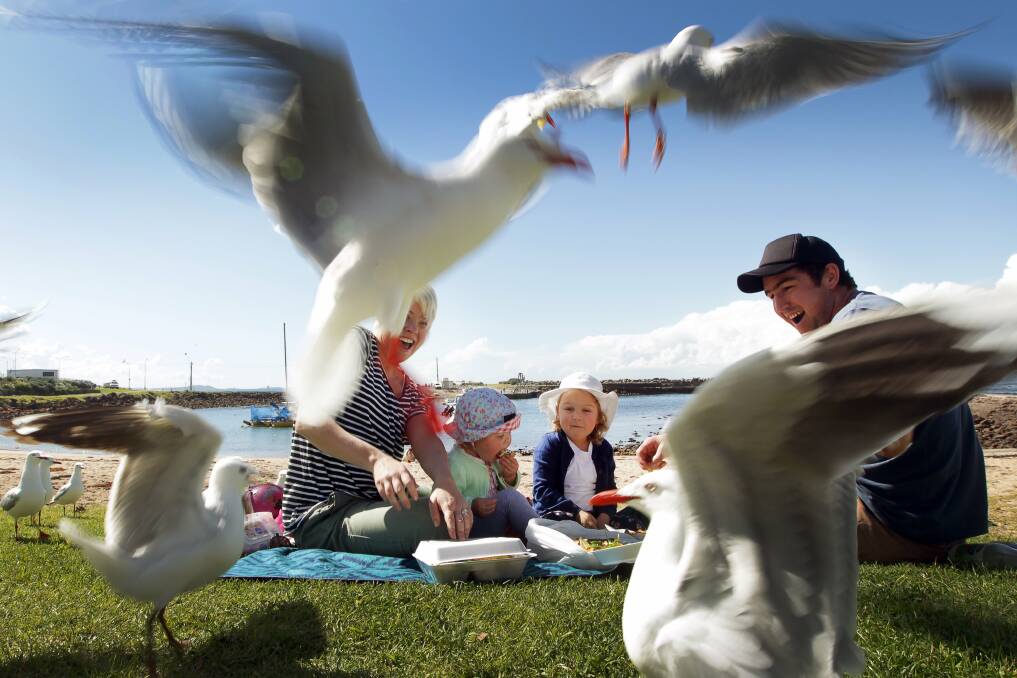Carli, Bridie, Andie and Dan Lawson make the most of Monday's sunny conditions with a picnic on the Shellharbour foreshore. Picture: SYLVIA LIBER.
