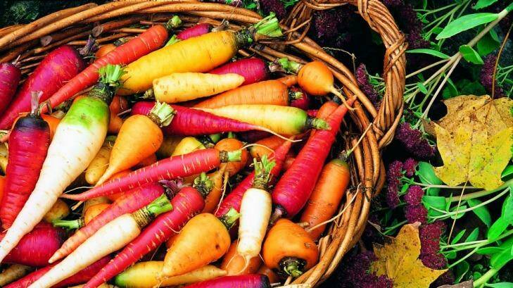 Study examines the benefits of a healthy diet: Fruit and vegetable consumption linked to delays in chronic illness.  Photo: Supplied