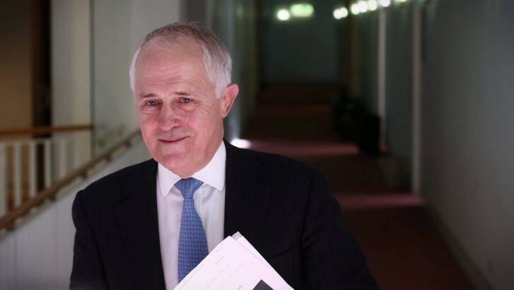 Communications Minister Malcolm Turnbull has declared support for some changes to the Racial Discrimination Act. Photo: Andrew Meares