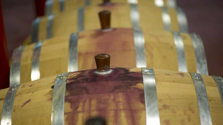 Wine barrels in storage at Penfolds winery in the Magill Estate cellars. Photo: David Mariuz