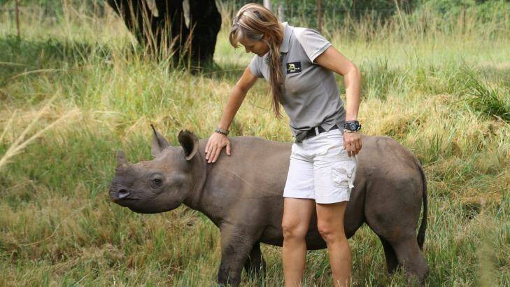Meeting a young rhino.