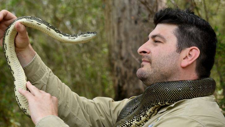 Sydney snake catcher Harley Jones with a diamond python. Photo: Steven Siewert