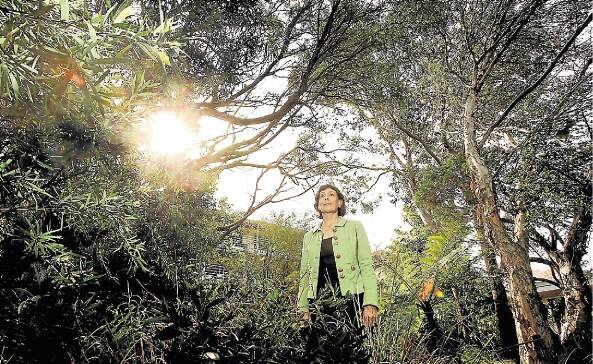 Wollongong Greens councillor Jill Merrin is concerned about new NSW state government rules that make it easier for people in bushfire zones to chop down trees. Picture: KIRK GILMOUR
