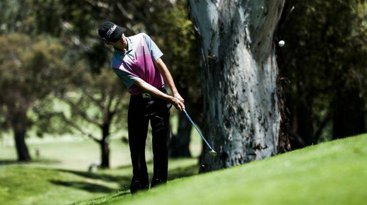 Federal member Luka Brucic,14, hopes to follow in Jason Day's footsteps one day. Photo: Elesa Kurtz