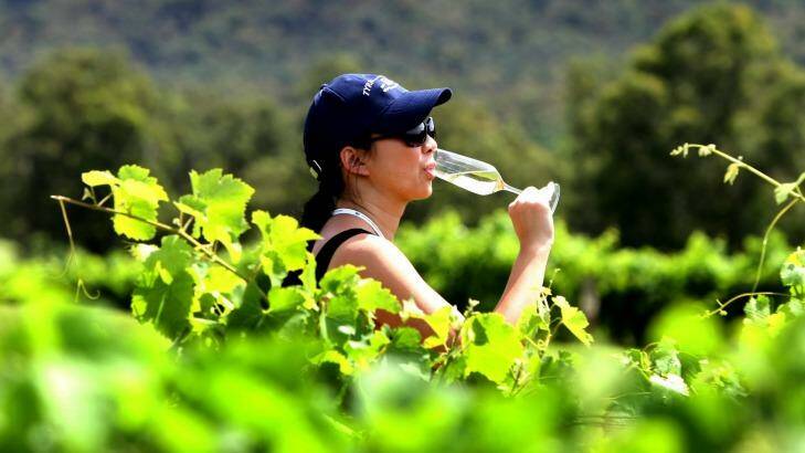 Sampling the produce in the Hunter Valley. Photo: Phil Hearne