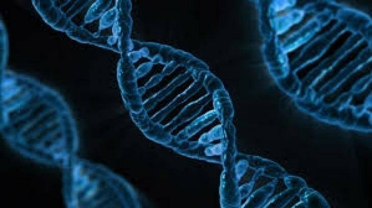Genetic risk factors of multiple sclerosis have been linked to Vitamin D activation.  Photo: Supplied