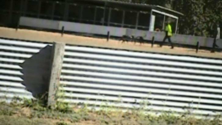 A screenshot of the <i>Four Corners</i> program on greyhound racing industry, allegedly filmed at trainer Tom Noble's property in Queensland.   Photo: ABC